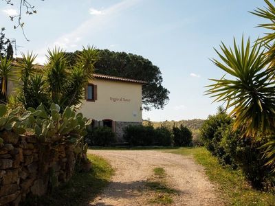 Ferienwohnung für 7 Personen (60 m²) in Poggio Al Turco 4/10