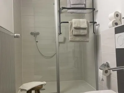 Dusche mit Waschbecken und WC