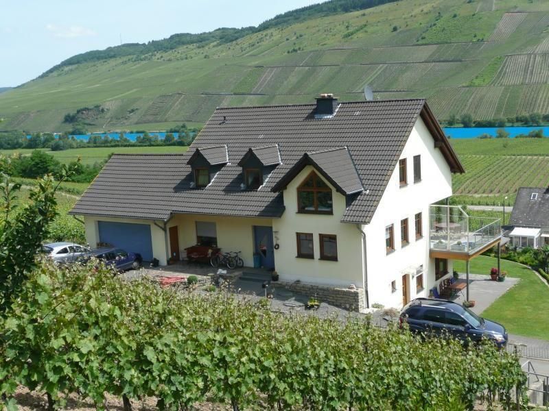 Haus mit Mosel und Weinbergen