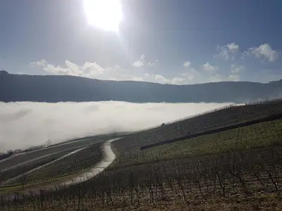 20180216_104918