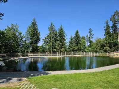Teich direkt neben der Anlage