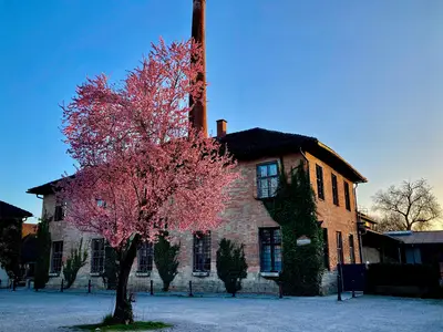 Ferienwohnung für 4 Personen (70 m²) in Polling 3/10
