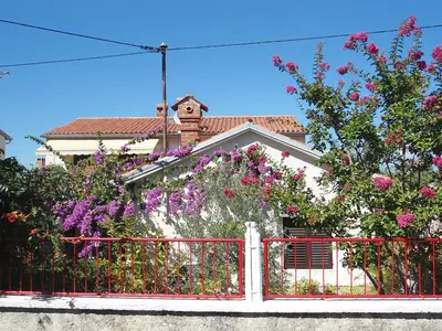 ExteriorSummer