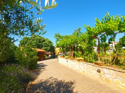 Ferienwohnung für 3 Personen (27 m²) in Pomer 10/10