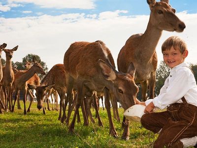 Patrik beim Hirschfüttern