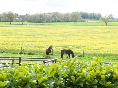 Ferienwohnung für 6 Personen (95 m²) in Pommerby (Geltinger Bucht) 2/10