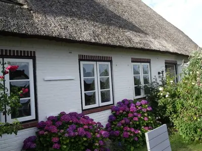 Ferienwohnung für 2 Personen (50 m²) in Pommerby (Geltinger Bucht) 3/10