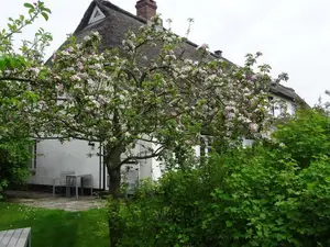 Ferienwohnung für 2 Personen (50 m²) in Pommerby (Geltinger Bucht)