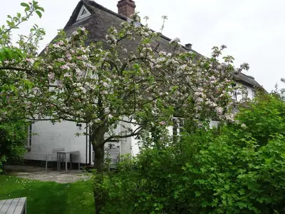 Ferienwohnung für 2 Personen (50 m²) in Pommerby (Geltinger Bucht) 1/10