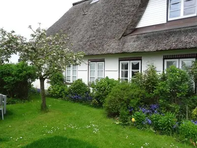 Ferienwohnung für 2 Personen (50 m²) in Pommerby (Geltinger Bucht) 3/10