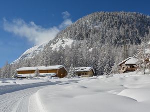 23051825-Ferienwohnung-8-Pontresina-300x225-1