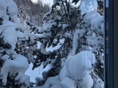 Winterzeit - Schneezeit