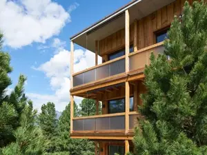 Ferienwohnung für 4 Personen (96 m²) in Pontresina