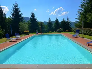 Ferienwohnung für 4 Personen (85 m²) in Popiglio