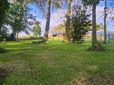 weitere Gartenansicht