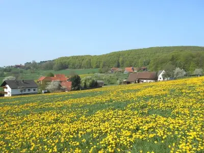 Ferienwohnung für 2 Personen (55 m²) in Poppenhausen 4/10