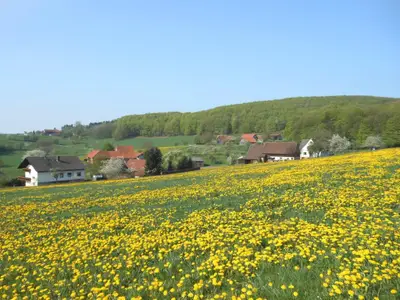 Öttersbach mit Giebelrainer Berg