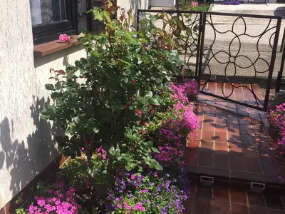 Ferienwohnung für 3 Personen (28 m²) in Poreč 4/10