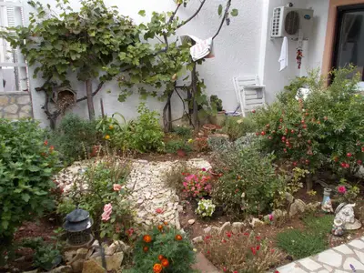 Ferienwohnung für 4 Personen (39 m²) in Poreč 2/10