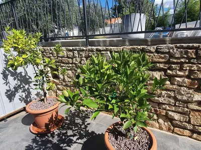 Ferienwohnung für 6 Personen (60 m²) in Poreč 7/10