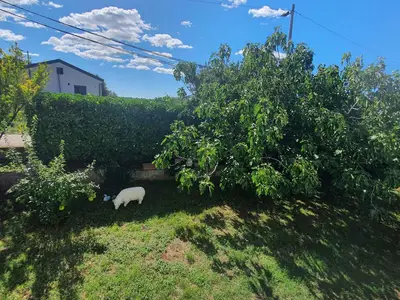 Ferienwohnung für 6 Personen (60 m²) in Poreč 8/10