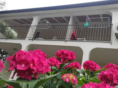 Ferienwohnung für 4 Personen (50 m²) in Poreč 2/10