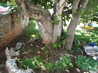 Ferienwohnung für 3 Personen (40 m²) in Poreč 10/10
