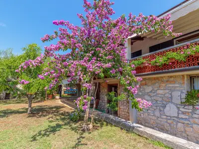 Ferienwohnung für 2 Personen (40 m²) in Poreč 2/10