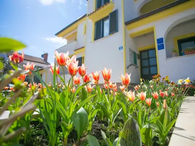 Ferienwohnung für 2 Personen (25 m²) in Poreč 1/10