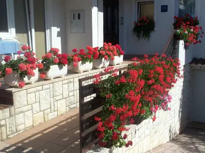 Ferienwohnung für 4 Personen (45 m²) in Poreč 10/10