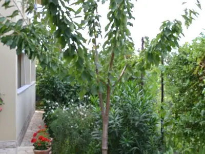 Bild 10