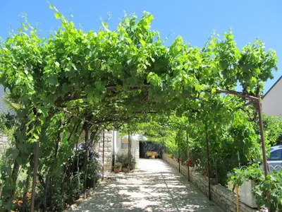 Ferienwohnung für 2 Personen (32 m²) in Poreč 1/10
