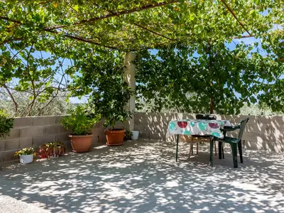 GardenSummer