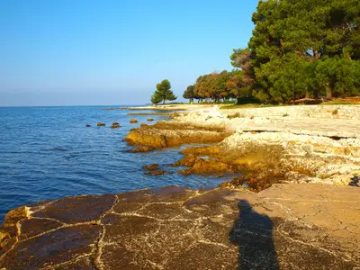 Ferienwohnung für 3 Personen (48 m²) in Poreč 6/10