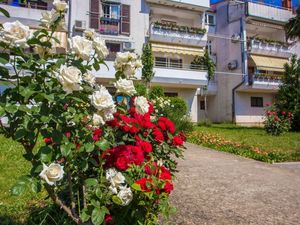 23195137-Ferienwohnung-5-Poreč-300x225-5