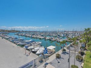 23850972-Ferienwohnung-6-Port d'Alcúdia-300x225-2