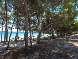 23849517-Ferienwohnung-6-Port d'Alcúdia-300x225-5