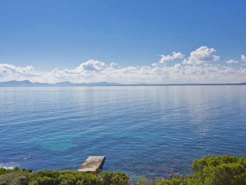 19045987-Ferienwohnung-6-Port de Pollença-800x600-0