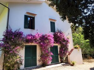 23562253-Ferienwohnung-4-Porto Azzurro-300x225-1