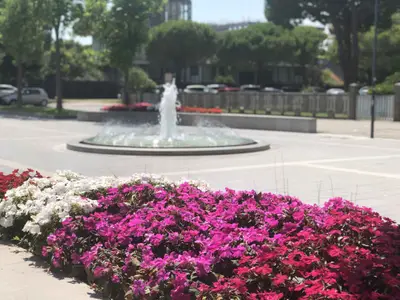 Ferienwohnung für 5 Personen (45 m²) in Porto Santa Margherita 5/10