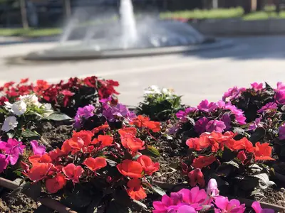 Ferienwohnung für 5 Personen (40 m²) in Porto Santa Margherita 3/10