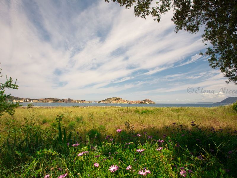 22311455-Ferienwohnung-6-Portoferraio-800x600-1