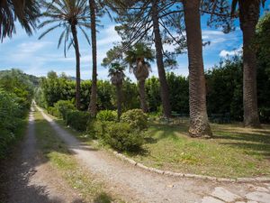 22311447-Ferienwohnung-4-Portoferraio-300x225-5