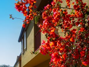 Ferienwohnung für 4 Personen (38 m&sup2;) in Portoferraio