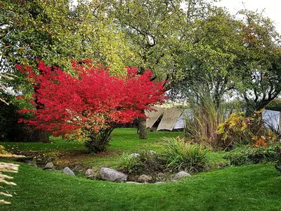Ferienwohnung für 3 Personen (63 m²) in Poseritz 8/10