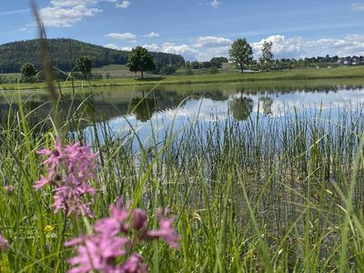 Badeweiher Pösing