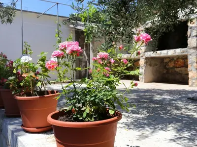 Ferienwohnung für 4 Personen in Potomje 8/10