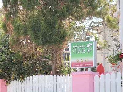 Ferienwohnung für 4 Personen (34 m²) in Povljana 8/10