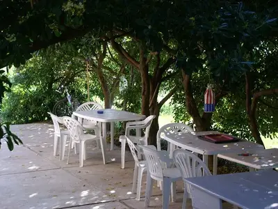 Ferienwohnung für 12 Personen in Povljana 10/10