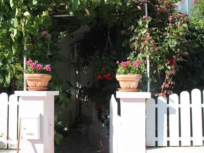 Ferienwohnung für 4 Personen (34 m²) in Povljana 5/10